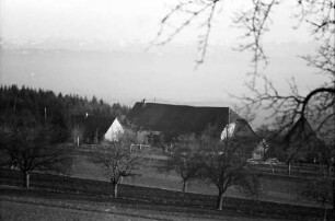 Markdorf: Gehöft und Blick zu den Allgäuer Alpen