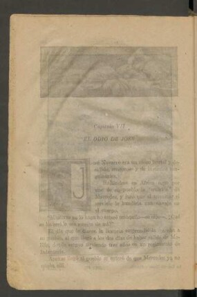 Capítulo VII - El odio de José