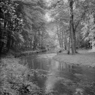 Seifersdorfer Tal