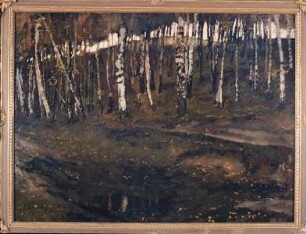 Birkenwald