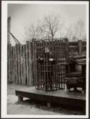 Junge auf einem Spielplatz hinter einem Gitter (Altersgruppe 14-17)