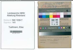Entnazifizierung Elise Tuellmann , geb. 24.07.1891 (Dentistin)