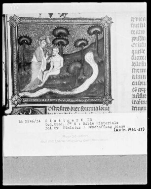 Bible Historiale — Erschaffung Adams, Folio 8verso