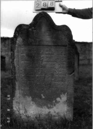 Grabstein 288 (Index: 100107683) Material: heller Sandstein Zustand: stark verwittert und versalzen, teilweise Textverlust Maße HxBxT: 140x47x13 cm Beschreibung: Stele, Abschluß in Sonderform (drei abgerundete Zacken), Schriftfeld rechteckig eingetieft: Grabstein 288