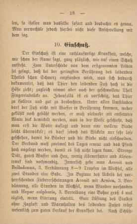 10. Einschuß