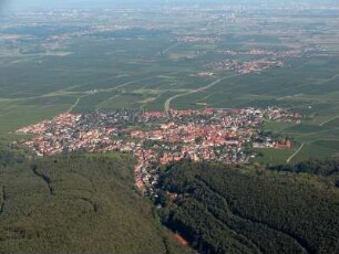 Wachenheim an der Weinstraße
