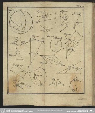 Pl. XVI
