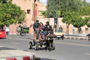 Pferdekarren im Stadtzentrum : Straßenverkehr in Marrakesch, aufgenommen am 02.11.2008