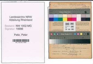 Entnazifizierung Peter Paltz , geb. 03.09.1910 (Fahrer)