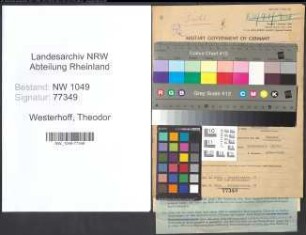 Entnazifizierung Theodor Westerhoff , geb. 02.10.1879 (Arzt)