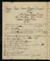 Entwürfe zu Veröffentlichungen über die Tendaguru-Expedition 1911