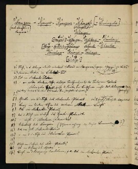 Entwürfe zu Veröffentlichungen über die Tendaguru-Expedition 1911