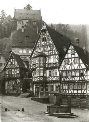 Miltenberg, Hohes Haus und Burg Miltenburg