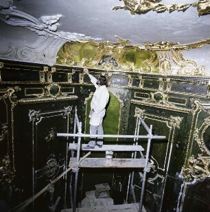 Würzburg. Restaurator bei der Arbeit im "Grünlackierten Zimmer" der Würzburger Residenz. Reinigen der Wandbemalungen