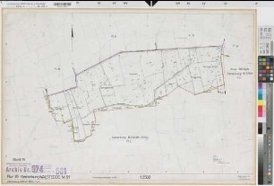 Walstedde (Drensteinfurt), Flurbereinigung Walstedde, Bl. 19 Zuteilungskarte Walstedde Flur 35, Bockum-Hövel Flur 5
