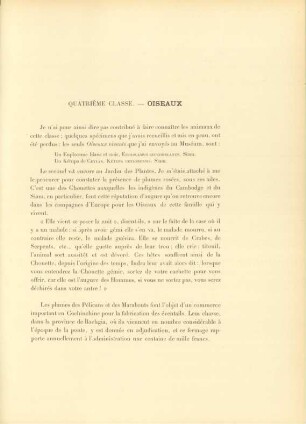 Quatrìème classe. - Oiseaux