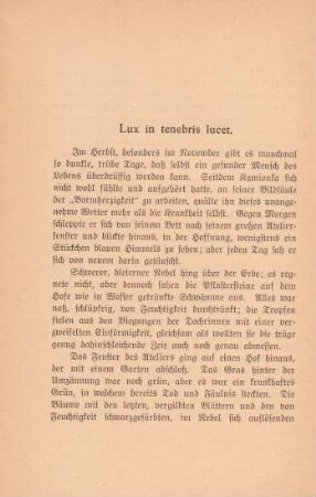 Lux in tenebris lucet.