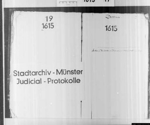 Judicialprotokoll = Gerichtsprotokoll der Zwangsversteigerungen und Rechtsstreitigkeiten sowie der Schlichtungen.