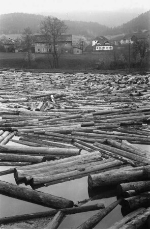Holzflößerei : Holzflößerei auf dem Fluss Regen