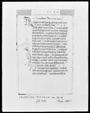 Psalterium cum Canticis — Initiale L (audate) mit Randausläufer und einem Löwen, Folio 119verso
