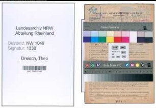 Entnazifizierung Theo Dreisch , geb. 17.03.1893 (Dozent)