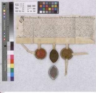 Biebesheim: Vertrag zwischen L. Georg und dem Kloster Eberbach betrffend den Austausch der drei Kappen, so dieselben von ihrem Hof zu Biebesheim i...