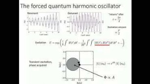 Ions III: The forced quantum harmonic oscillator