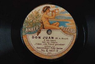 Don Juan : Il mio tesoro; Arie des Octavio / (W. A. Mozart)