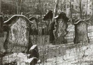 Alter jüdischer Friedhof : Dresden-Neustadt, Alter Jüdischer Friedhof, Blick nach Westen im Winter