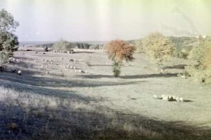 Landschaftsbild unweit von Bankja
