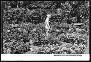 Dresden, Rosengarten am Schloss Eckberg