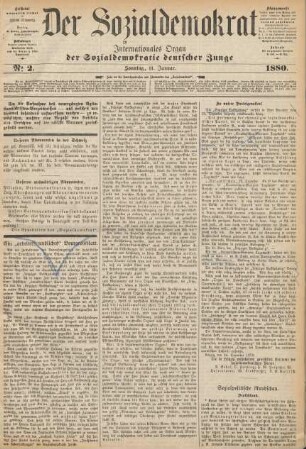 No 2. Sonntag, 11. Januar. 1880.