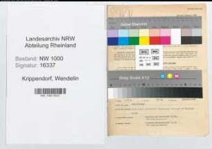 Entnazifizierung Wendelin Krippendorf, geb. 09.09.1900 (Nachtwaechter)