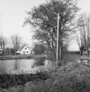 Teich: hinten links Wohnhaus Müthel: rechts Bäume