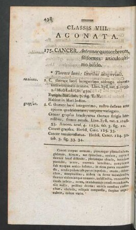 175. Cancer. - 181. Limulus.