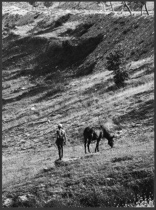 Junge mit Pferd beim Hüten bei La Verna