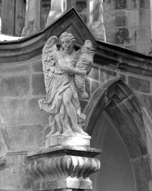 Engel am Westportal