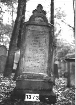 Grabstein 1373 (Index: 99900307) Material: Sandstein Zustand: stark verwittert Maße HxBxT: 155x52x11 cm Beschreibung: aufgesockelte Stele mit eingezogenem Rundbogenabschluss, Einzüge nach außen abgeschrägt, Giebelakroter mit Akanthus, im Bogenfeld Blüte Symbolik: Akanthus, Blüte: Grabstein 1373