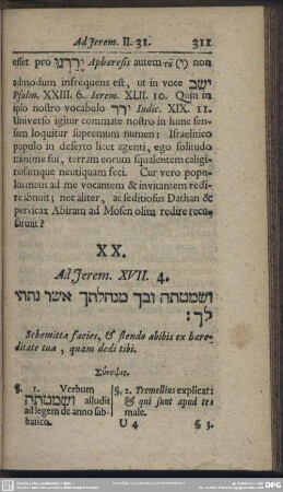 XX. Ad Jerem. XVII. 4.