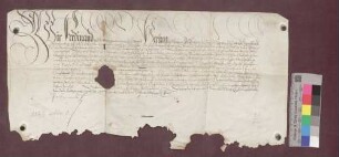Erzherzog Ferdinand zu Österreich bestätigt die Freiheiten der Grafschaft Hauenstein.