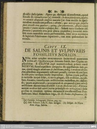 Caput IX. De Salinis Et Sulphureis Fossilibus Noricis