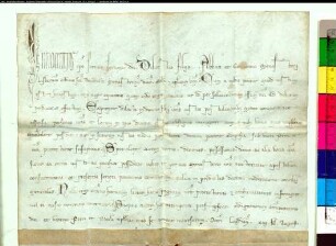 Papst Innocenz IV. nimmt das Kloster Liesborn und seine Besitzungen in seinen Schutz ("Cum a nobis ..."). Gegeben zu Lyon.