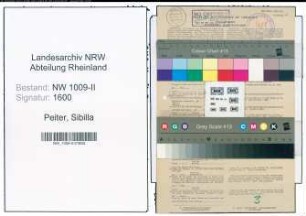 Entnazifizierung Sibilla Peiter , geb. 08.06.1872 (Postbote)