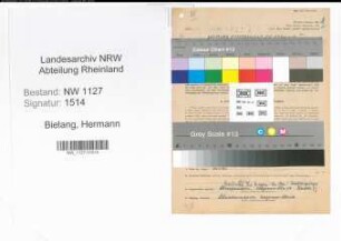 Entnazifizierung Hermann Bielang , geb. 29.04.1894 (Justizoberinspektor)