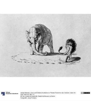 Löwe und Elefant, Illustration zu "Werke Friedrichs des Großen"