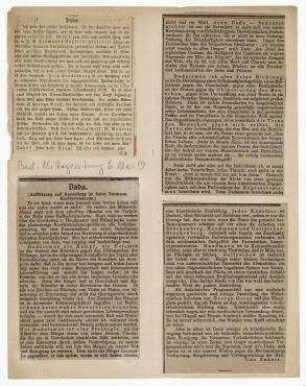Dada. In: Berliner Mittagszeitung, 6.Mai.1919