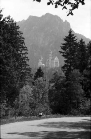 Schwangau: Schloss Neuschwanstein zwischen Waldschneise