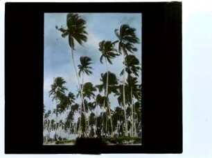 [5]: Rio Grande do Norte : estado ; Topographische Ansichten