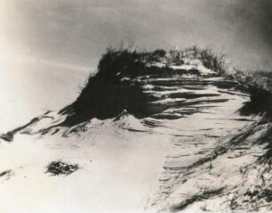 Ostseeküste (bei Ossecken, Kreis Lauenburg). Arbeit des Windes an der Vordüne