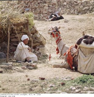 Ägypten: Gizeh